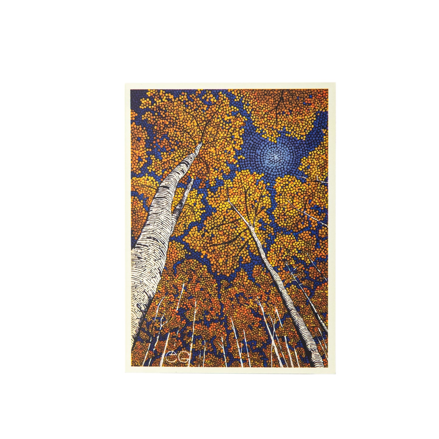 Limited Artist Series - Birch Dance Sleeves