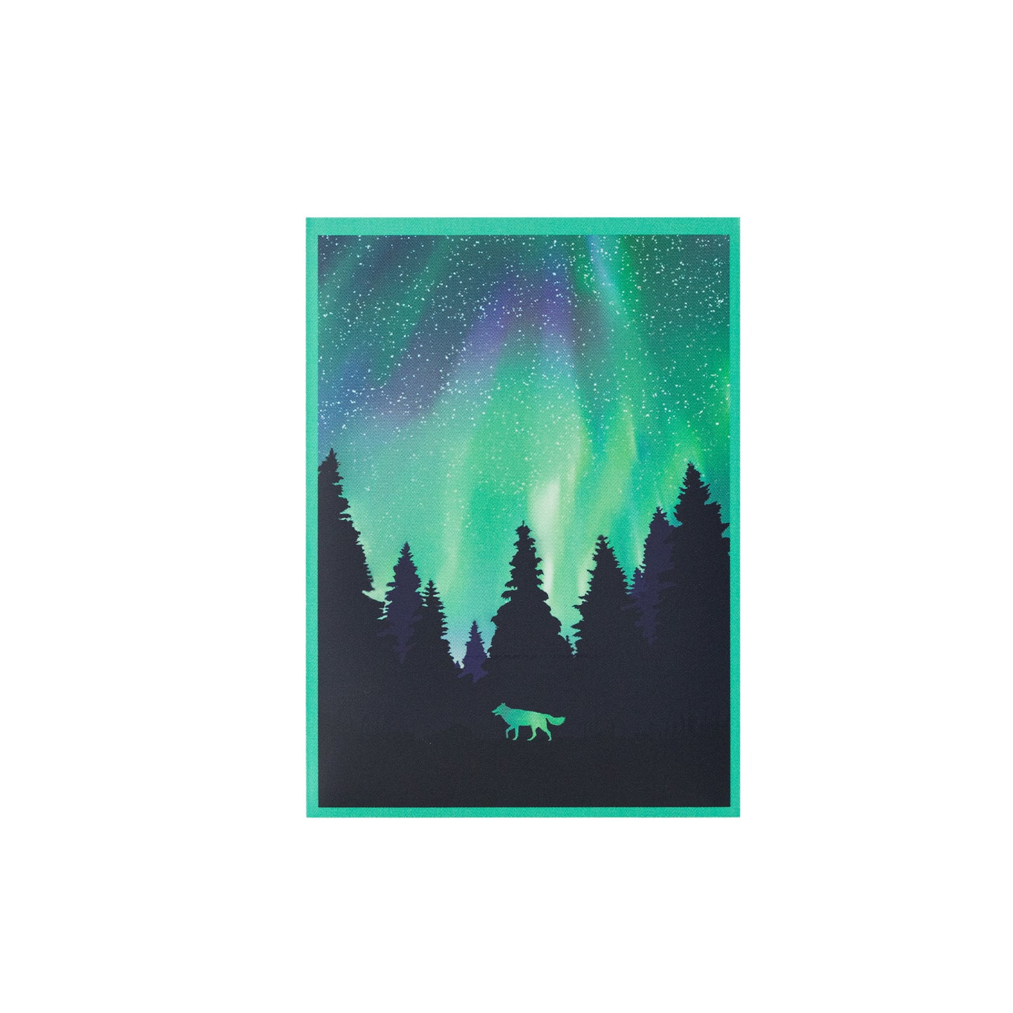 Limited Artist Series - Aurora