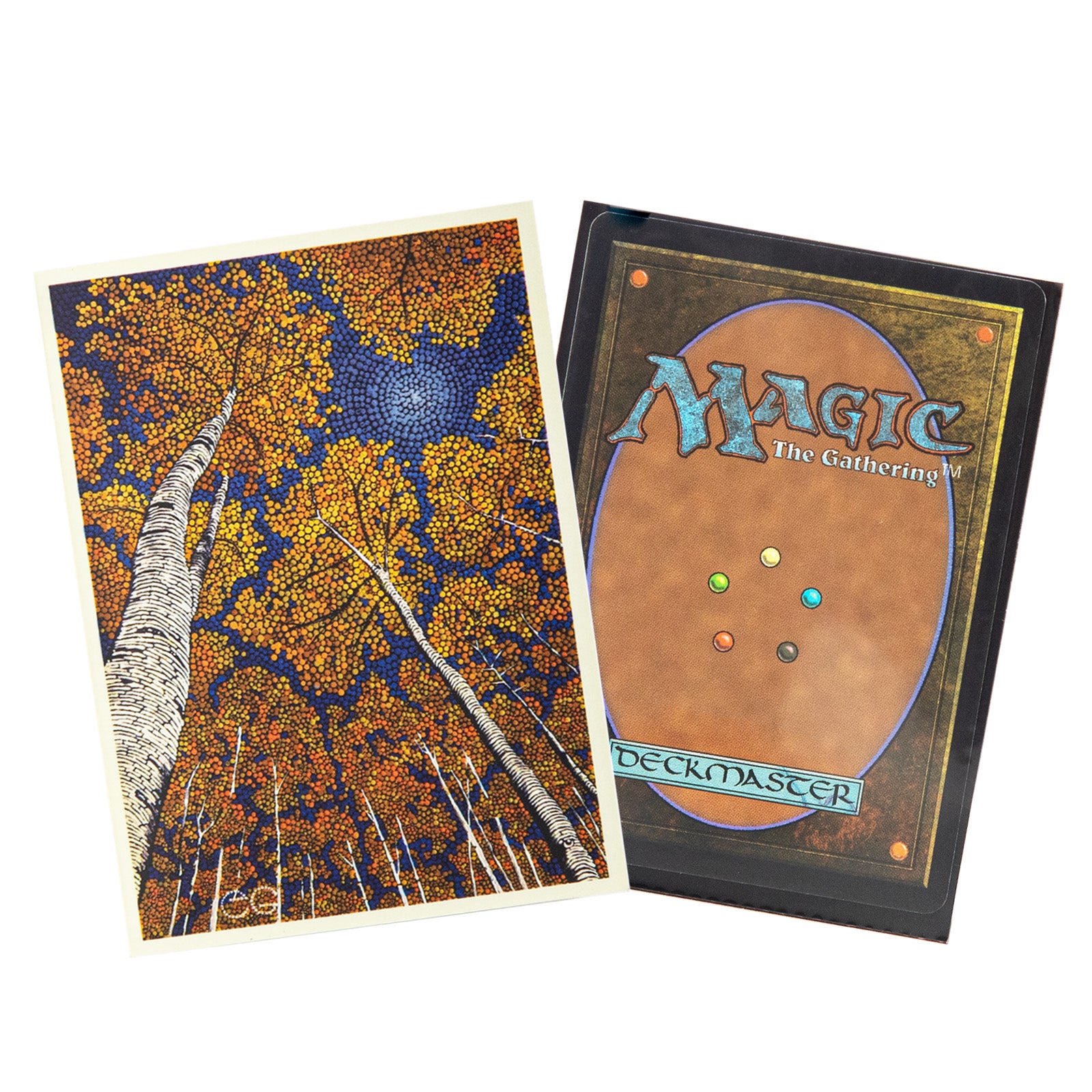 Limited Artist Series