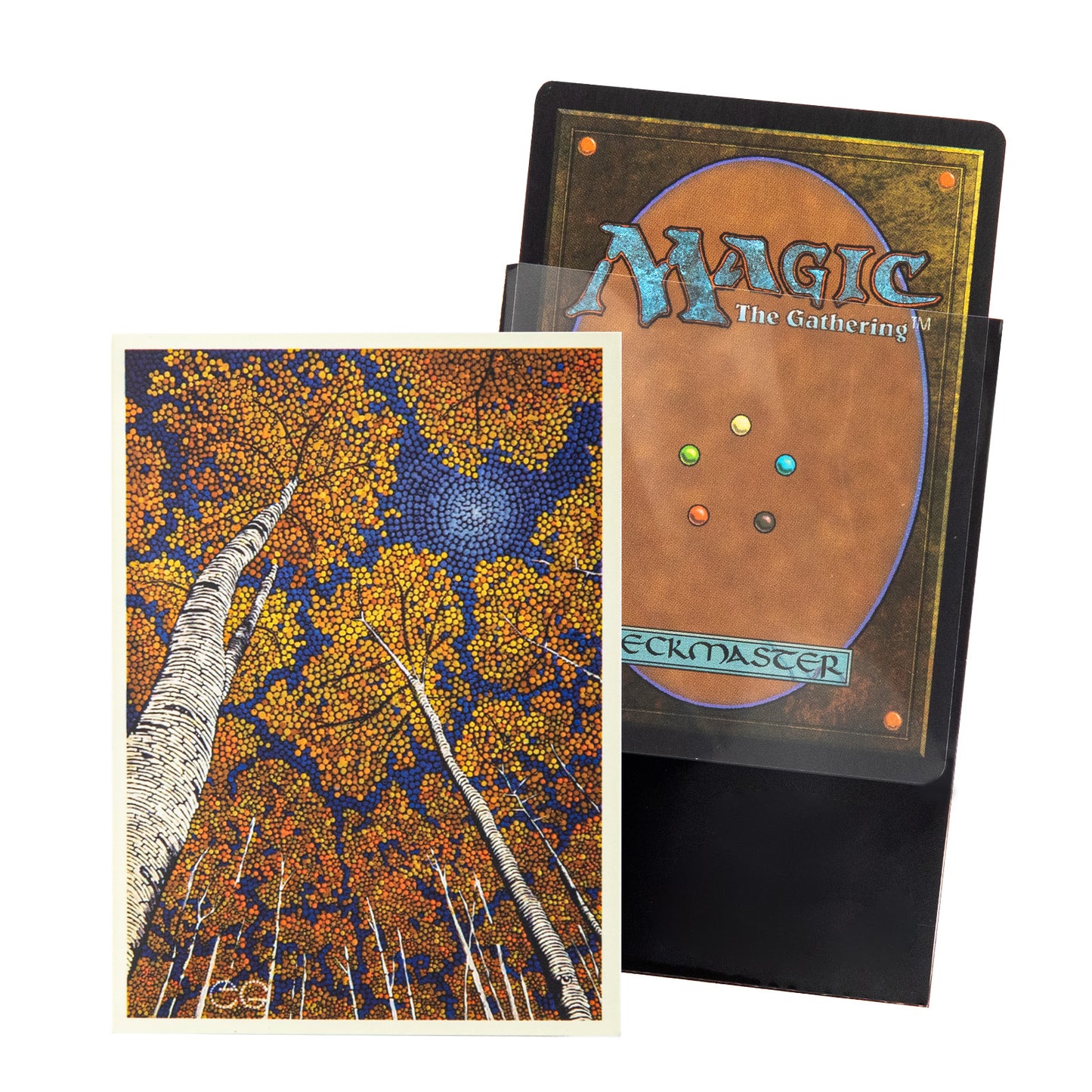 Limited Artist Series - Birch Dance Sleeves